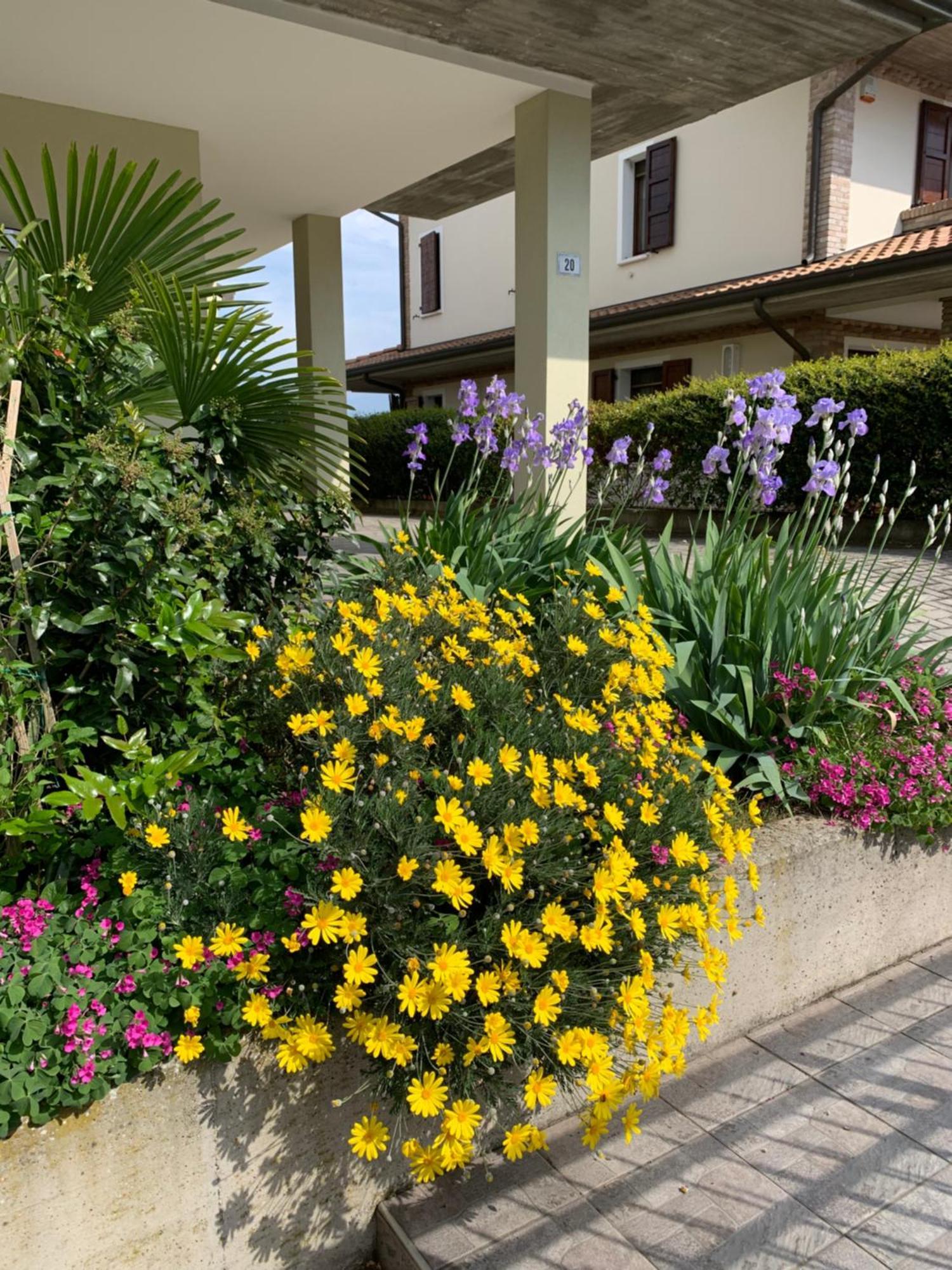 B&B La Salina Cannuzzo Εξωτερικό φωτογραφία